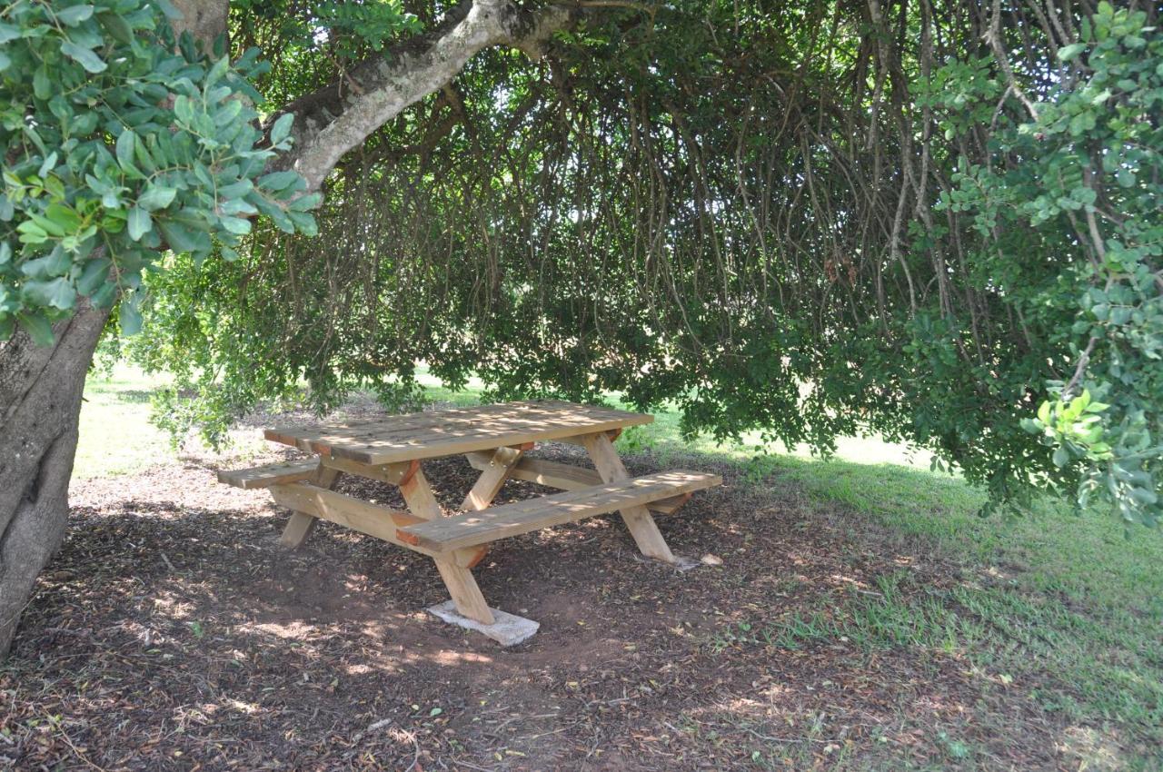 Can Porretí Agroturisme Lloret de Vistalegre Exteriér fotografie